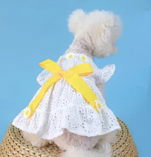 Daisy Dream Lace Dog Dress
