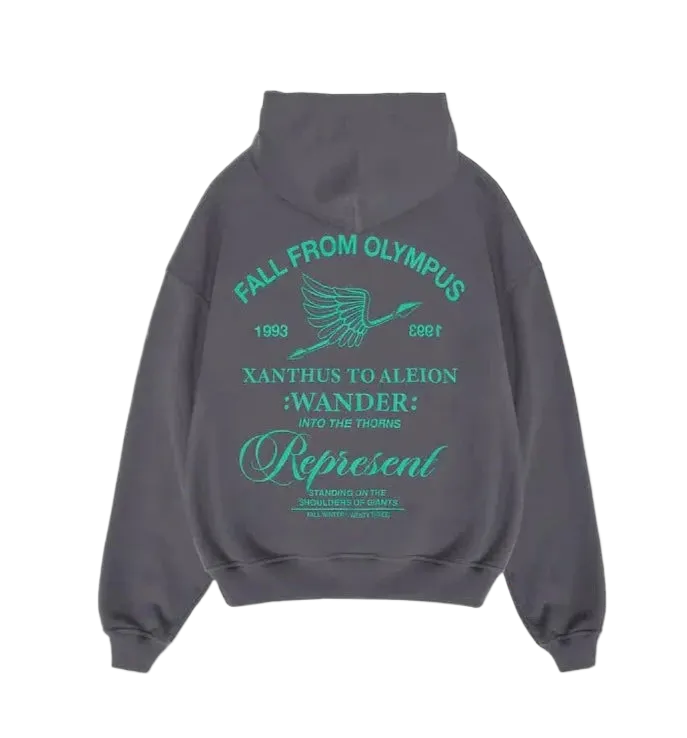Represent Fall From Olympus Hoodie - Storm